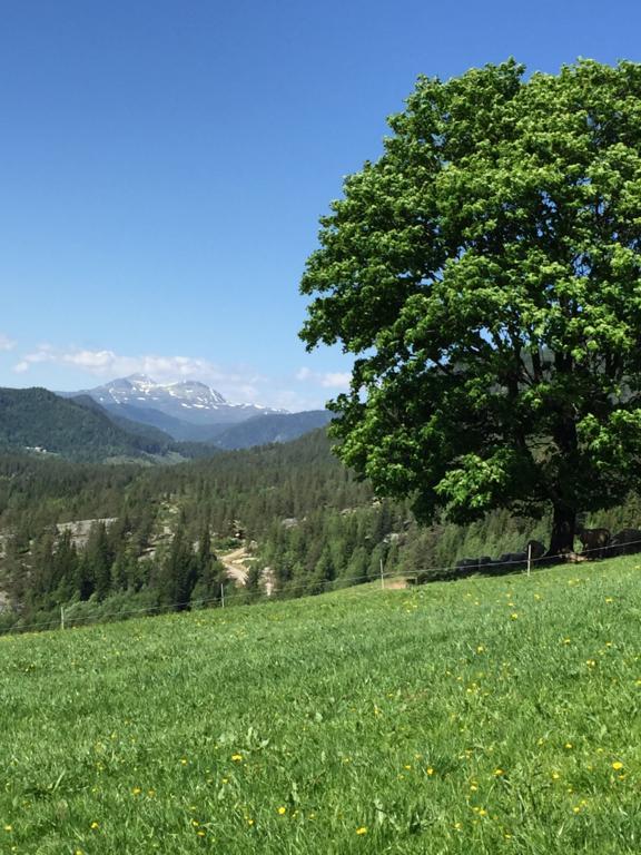 Longdal Villa Tuddal Kültér fotó